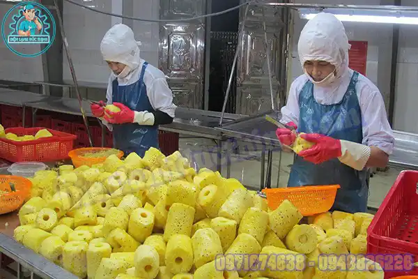 Mua Bán Lắp Đặt Kho Lạnh Bảo Quản Dứa Cũ Mới Giá Rẻ2