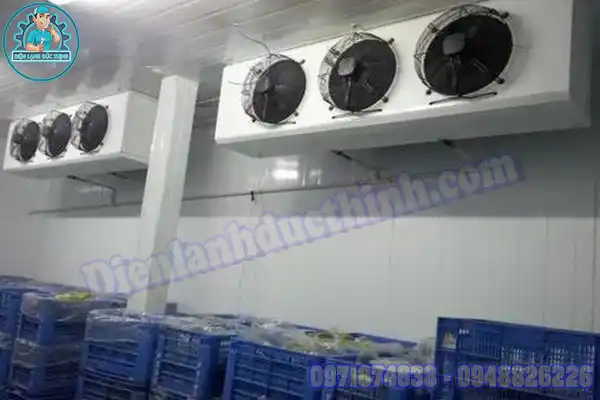 Mua Bán Lắp Đặt Kho Lạnh Bảo Quản Dứa Cũ Mới Giá Rẻ3