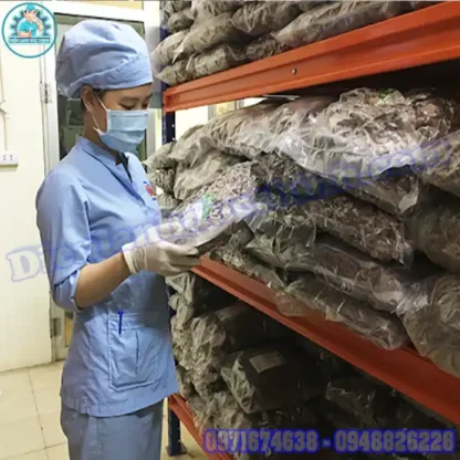 Kho Lạnh Bảo Quản Dược Liệu Chuẩn GMP/GSP