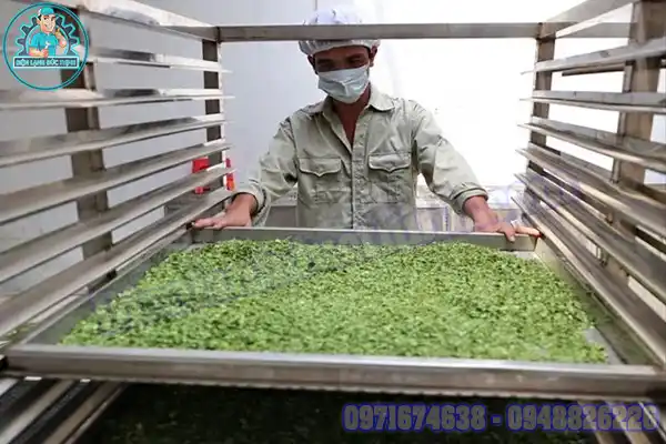 Kho Lạnh Bảo Quản Dược Liệu Chuẩn GMP/GSP5