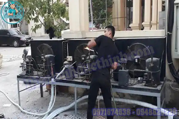 Mua Bán, Lắp Đặt Kho Lạnh Bảo Quản Hạt Giống Cũ Mới1