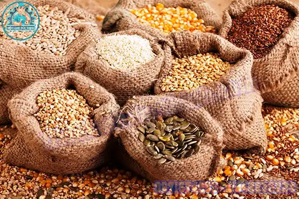 Mua Bán, Lắp Đặt Kho Lạnh Bảo Quản Hạt Giống Cũ Mới3