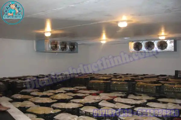 Mua Bán, Lắp Đặt Kho Lạnh Bảo Quản Hạt Giống Cũ Mới4