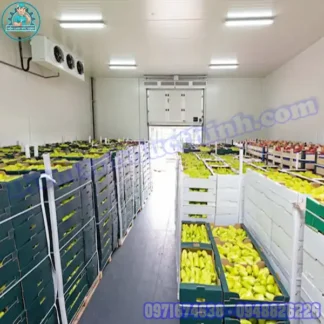 Lắp Đặt Kho Lạnh Bảo Quản Hoa Quả Cũ Mới