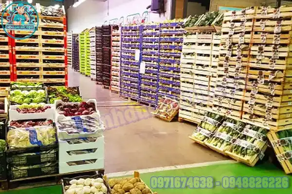 Lắp Đặt Kho Lạnh Bảo Quản Hoa Quả Cũ Mới2