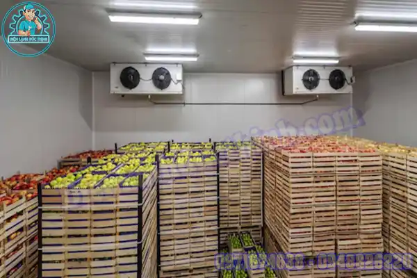 Lắp Đặt Kho Lạnh Bảo Quản Hoa Quả Cũ Mới4