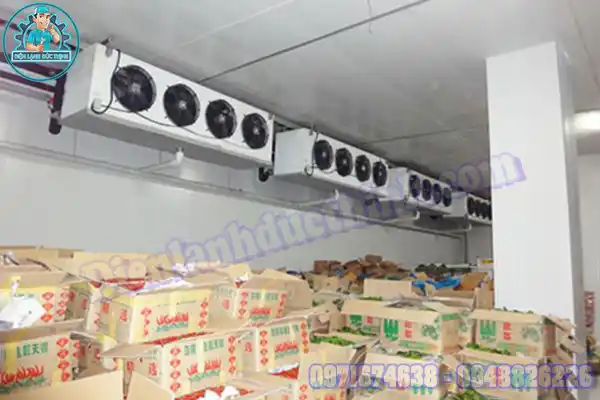 Lắp Đặt Kho Lạnh Bảo Quản Hoa Quả Cũ Mới6