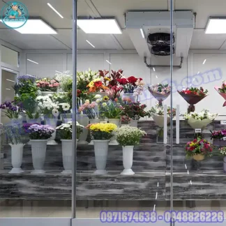 Lắp Đặt Kho Lạnh Bảo Quản Hoa Tươi Mới/Cũ