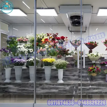 Lắp Đặt Kho Lạnh Bảo Quản Hoa Tươi Mới/Cũ