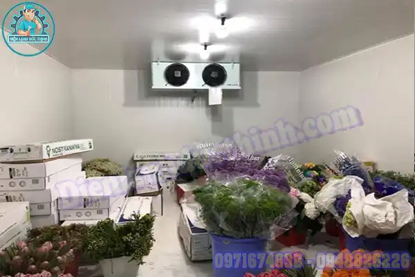 Cách bảo quản hoa tươi trong tủ lạnh