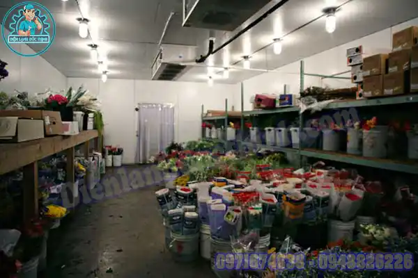 Cách bảo quản hoa hồng trong tủ lạnh