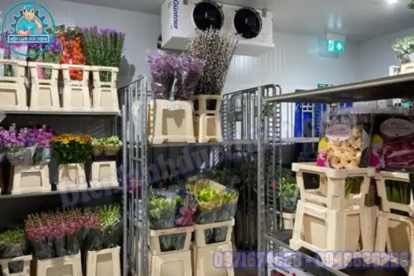 Nhiệt độ bảo quản hoa tươi