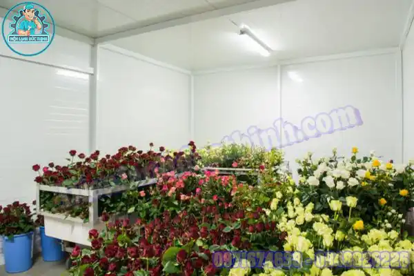 Cách bảo quản hoa dơn chứa cắm