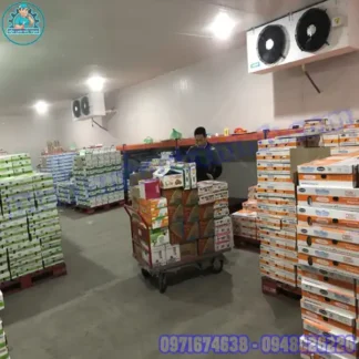 Lắp Đặt Kho Lạnh Bảo Quản Rau Mới & Cũ