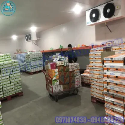 Lắp Đặt Kho Lạnh Bảo Quản Rau Mới & Cũ