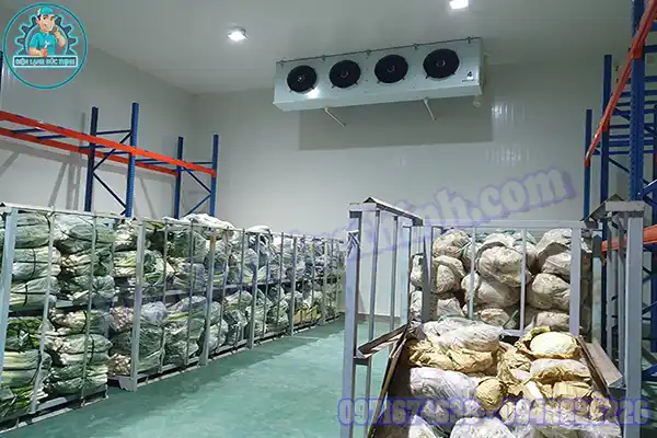 Lắp Đặt Kho Lạnh Bảo Quản Rau Mới & Cũ2