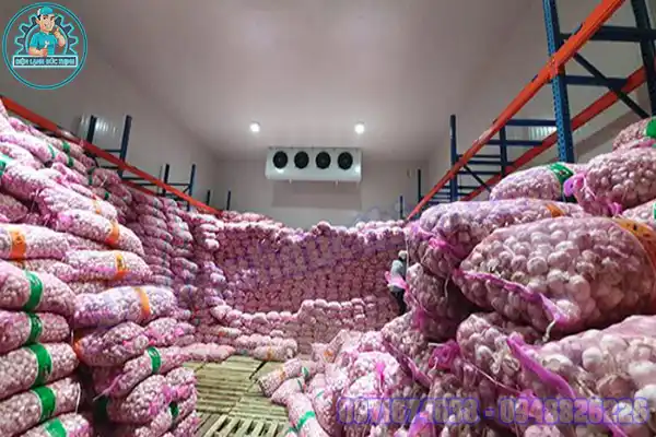 Lắp Đặt Kho Lạnh Bảo Quản Rau Mới & Cũ3