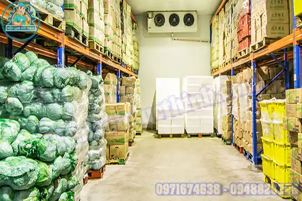 Lắp Đặt Kho Lạnh Bảo Quản Rau Mới & Cũ5