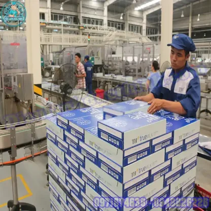 Lắp Đặt Kho Lạnh Bảo Quản Sữa