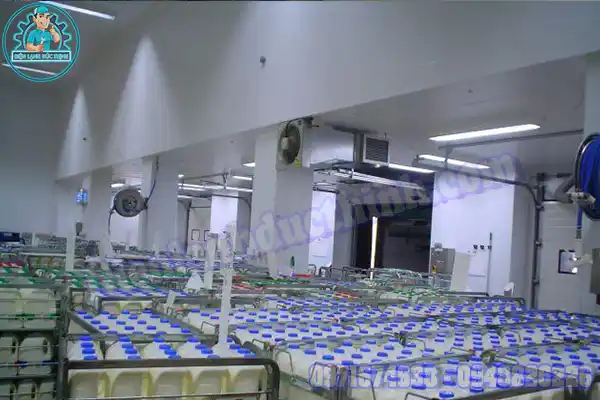 Lắp Đặt Kho Lạnh Bảo Quản Sữa6