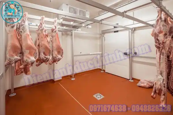 Lắp Đặt Kho Lạnh Bảo Quản Thịt Lợn Cũ & Mới Uy Tín1