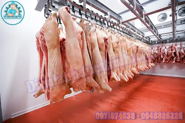 Lắp Đặt Kho Lạnh Bảo Quản Thịt Lợn Cũ & Mới Uy Tín4