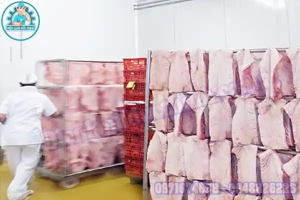 Lắp Đặt Kho Lạnh Bảo Quản Thịt Lợn Cũ & Mới Uy Tín7