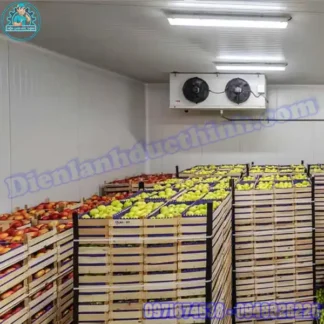 Mua Bán Lắp Đặt Kho Lạnh Bảo Quản Trái Cây Cũ Mới