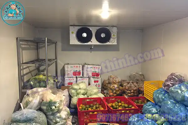 Mua Bán Lắp Đặt Kho Lạnh Bảo Quản Trái Cây Cũ Mới1