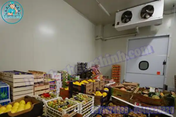 Mua Bán Lắp Đặt Kho Lạnh Bảo Quản Trái Cây Cũ Mới2