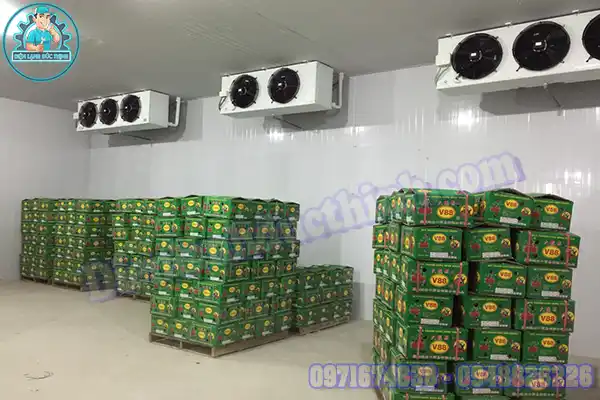 Mua Bán Lắp Đặt Kho Lạnh Bảo Quản Trái Cây Cũ Mới3