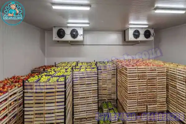 Mua Bán Lắp Đặt Kho Lạnh Bảo Quản Trái Cây Cũ Mới4