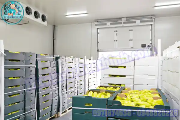 Mua Bán Lắp Đặt Kho Lạnh Bảo Quản Trái Cây Cũ Mới5