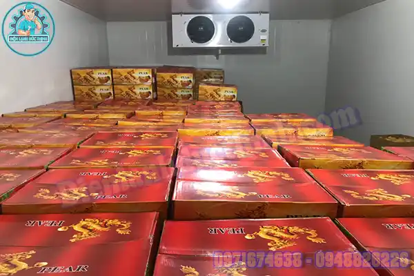 Mua Bán Lắp Đặt Kho Lạnh Bảo Quản Trái Cây Cũ Mới6