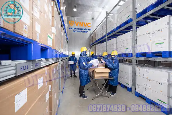 Quy định về bảo quản thuốc trong kho