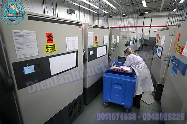Quy trình bảo quản vacxin