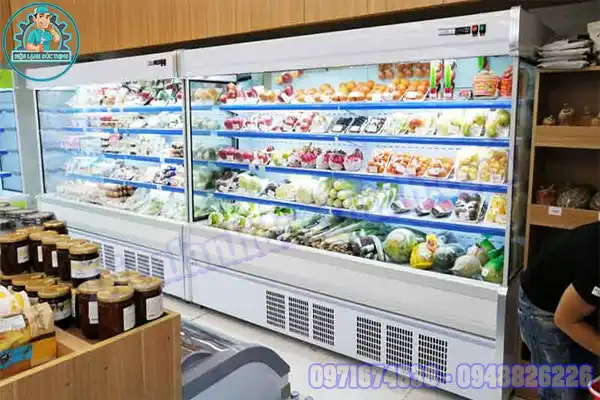Dịch Vụ Sửa Chữa Tủ Đông - Tủ Mát Tại Nhà Ở Thủ Đức Thợ Giỏi3