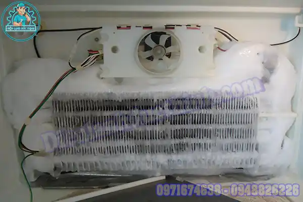 Đơn Vị Sửa Chữa Tủ Lạnh Tại Nhà Ở Phú Nhuận Đến Ngay3