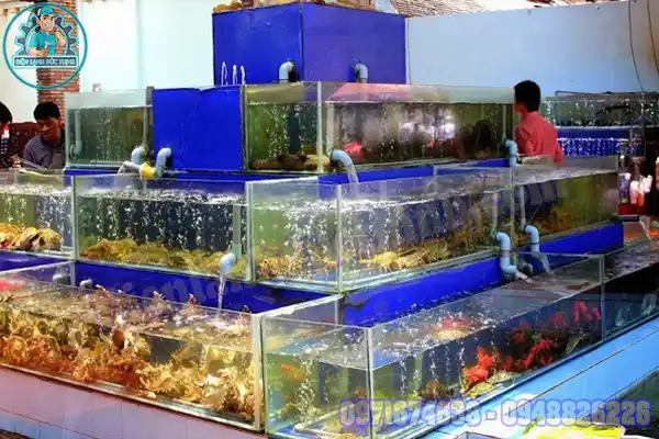 Máy làm lạnh nước hồ cá