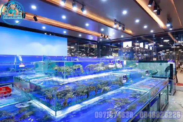 Máy làm lạnh nước bể cá