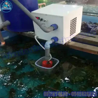 Thi Công Hệ Thống Làm Lạnh Nước Bể Cá Chuyên Nghiệp Giá Rẻ