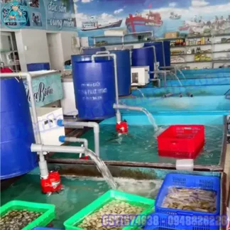 Thiết Kế Lắp Đặt Máy Làm Lạnh Nước Hồ Cá Mini Uy Tín