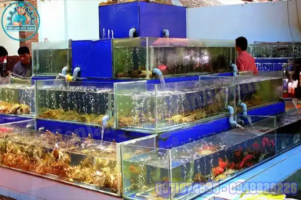 Thiết Kế Lắp Đặt Máy Làm Lạnh Nước Hồ Cá Mini Uy Tín1