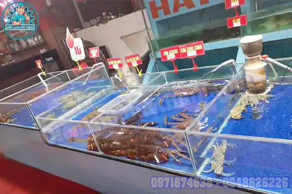 Thiết Kế Lắp Đặt Máy Làm Lạnh Nước Hồ Cá Mini Uy Tín2