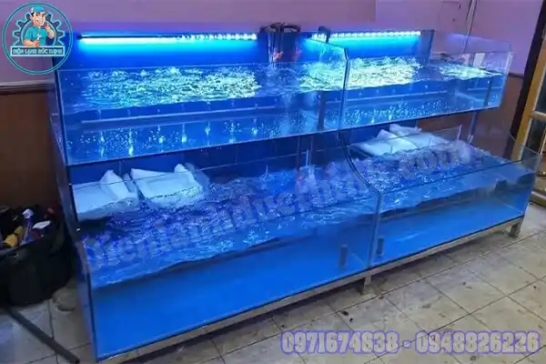 Máy làm lạnh bể cá mini