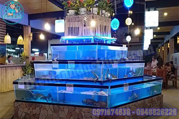 Điều hòa cho bể cá