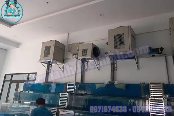 Dịch Vụ Lắp Đặt Máy Làm Mát Bể Cá Chuyên Nghiệp3