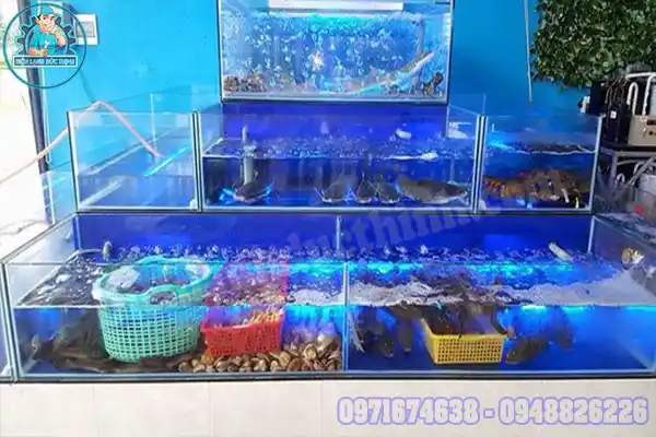 Máy làm lạnh nước hồ cá mini