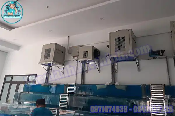 Thanh lý máy làm lạnh hồ cá
