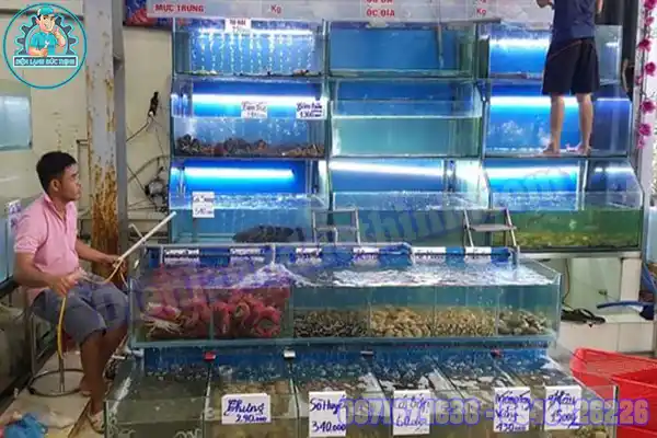 Máy làm lạnh nước bể cá